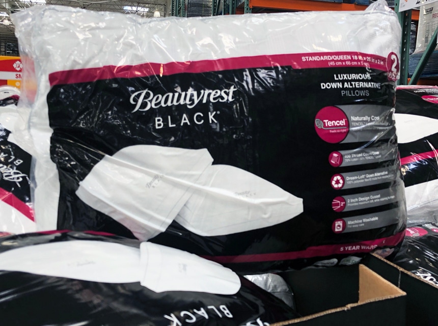 Beautyrest Black Pillow Review: Is This the Right Pillow for the Best Sleep? (Winter 2023)