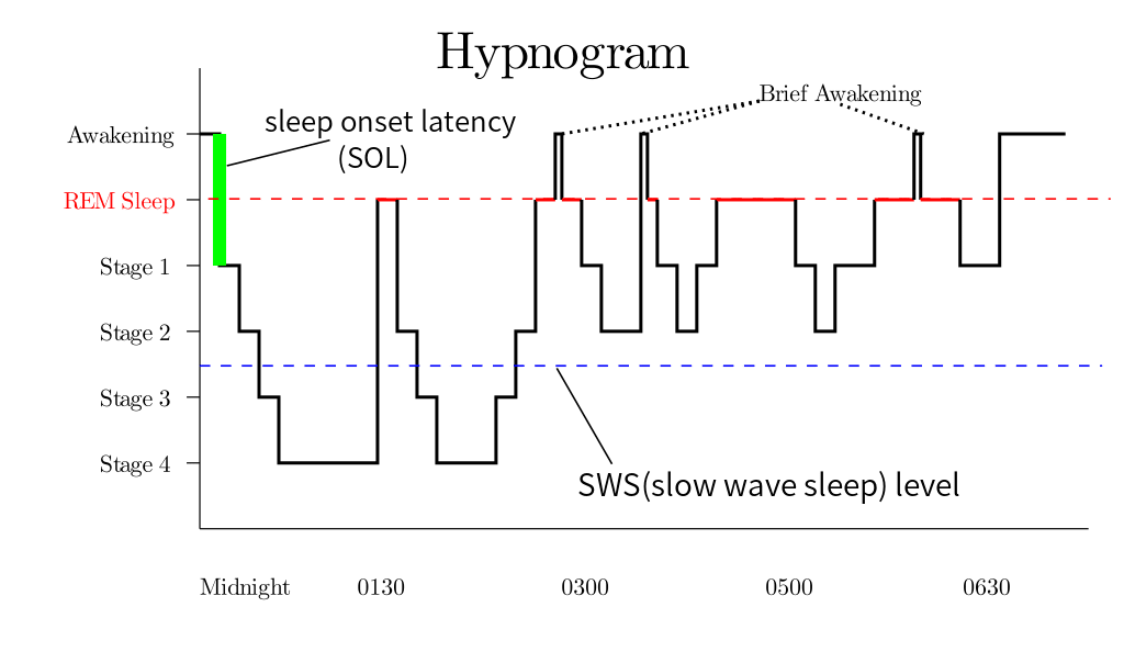 Stages of Sleep: Their Number and Effect (Winter 2023)